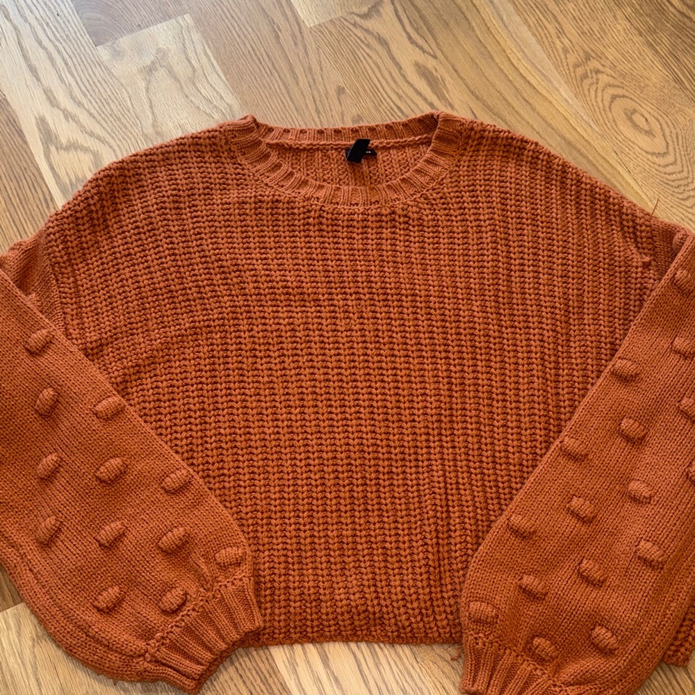 moon & madison Textured Crop  Knit Sweater in Warm Rust
